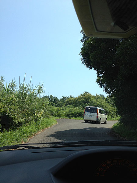 サーフトリップ